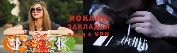 дживик Бронницы
