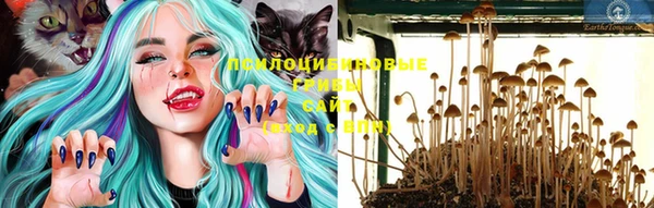 дживик Бронницы