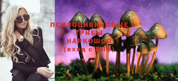 марки nbome Бородино