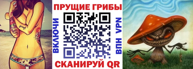 Галлюциногенные грибы мухоморы  даркнет сайт  Данков 
